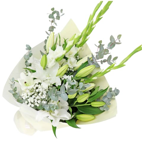 Love And Comfort - Standard 4