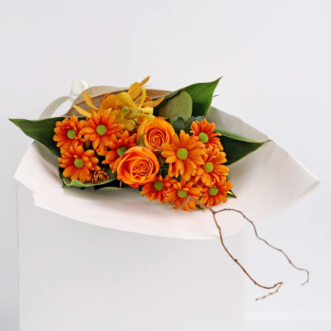 Thoughts Of You - Standard 2