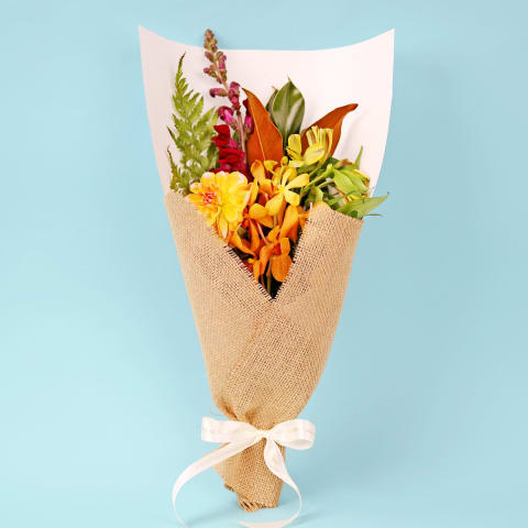 Magical Garden - Standard 0