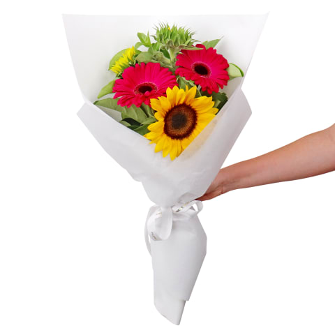 Happy Days  - Standard 2