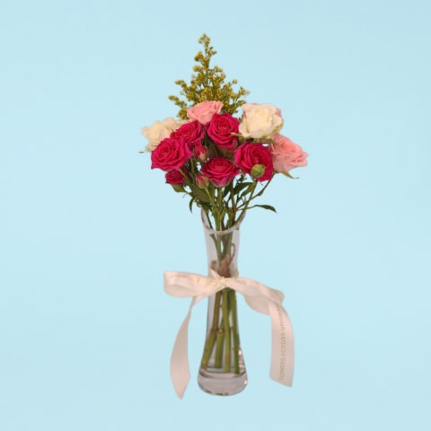 Rosy Mist - Standard 0