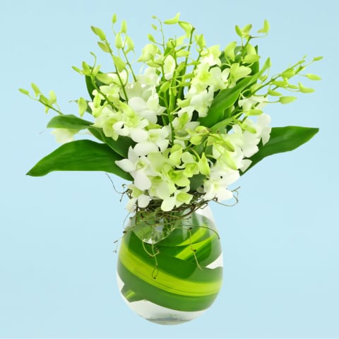 Marvel At Me - Standard 2