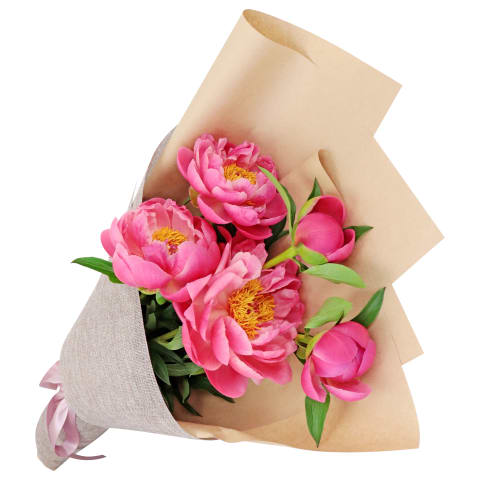 Coral Crush Peonies - Standard 0