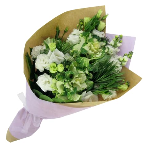 Growing Happiness - Standard 0