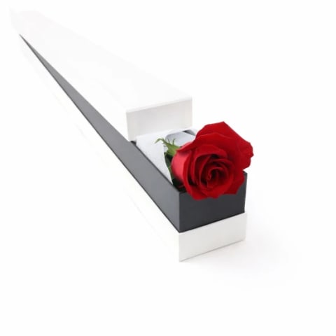Valentine's Single Red Rose Box - Standard 0