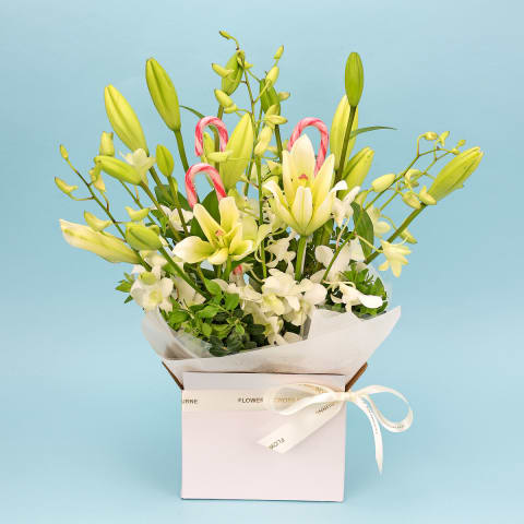 Making Christmas Magic - Deluxe 0