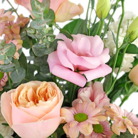 Pastel Parfait - Standard 3