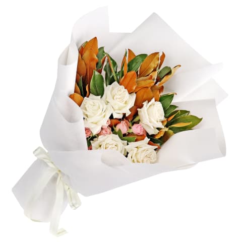 Classic Beauty - Standard 0