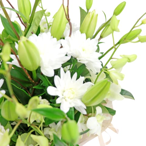 Botanique White Flower Box - Standard 4