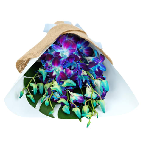 Blue Orchid Bunch - Standard 2