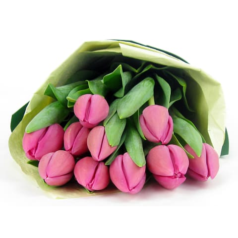 Pink Tulip Bunch - Standard 4