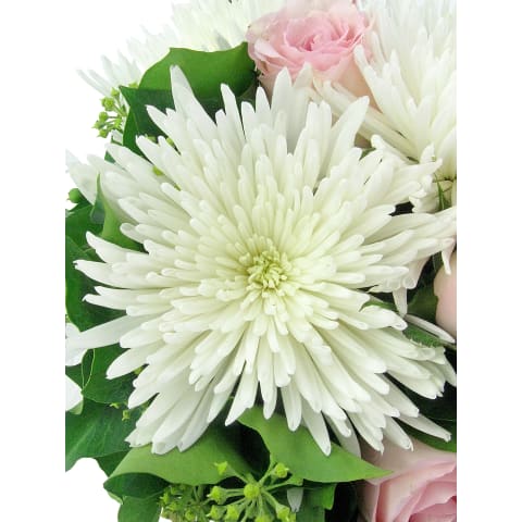 Isn't She Lovely - Standard 6