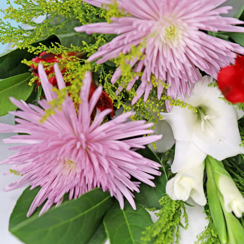 Brilliant Bloom Medley - Standard 1