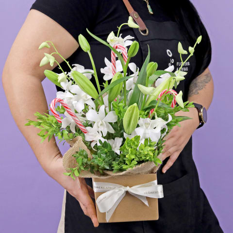 Making Christmas Magic - Standard 1