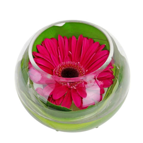 Gerbera Fishbowl Arrangement - Standard 2