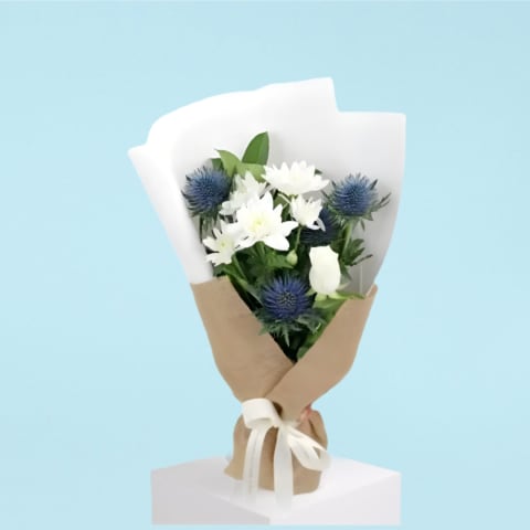 Seaholly Serenade  - Standard 0