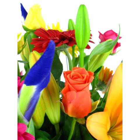 Vivacious Mixed Brights Flower Box - Standard 2