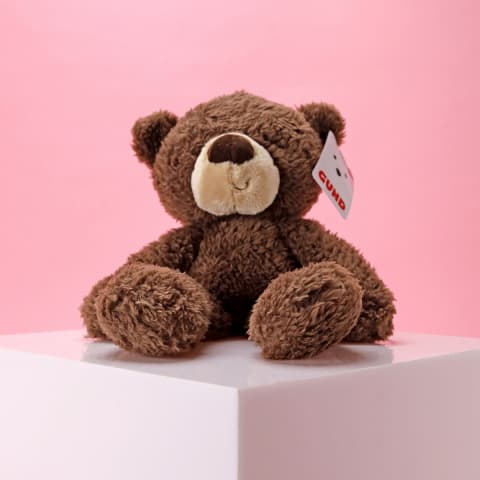 Fuzzy Chocolate Bear  - Standard 0