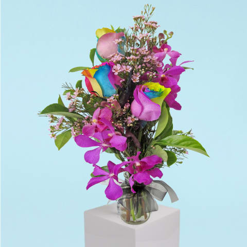 Pure Happiness  - Standard 0