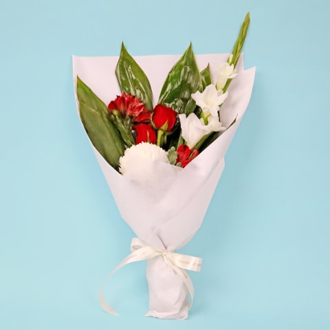 Christmas Bliss - Standard 0