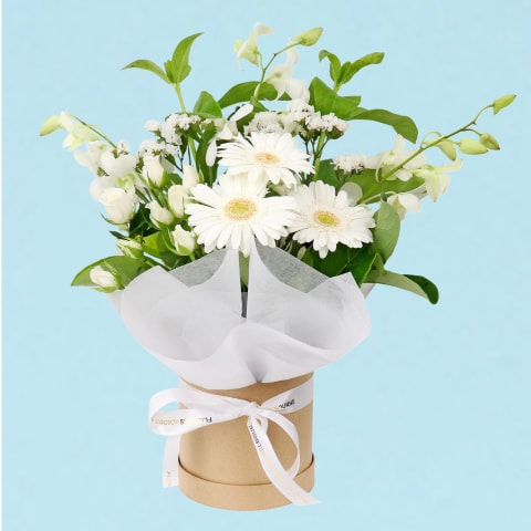 Paw-Friendly Blossom Box - Standard 0