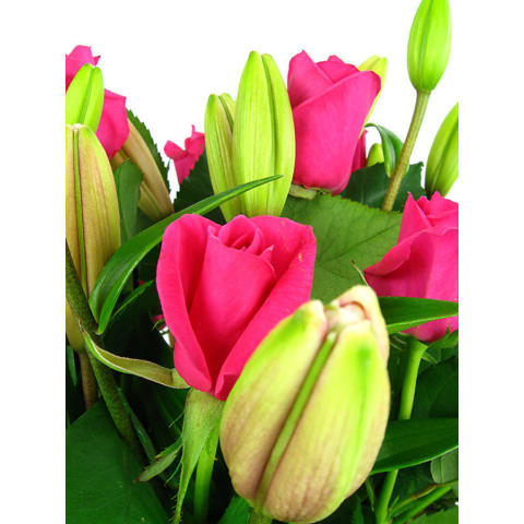 Plush Roses & Lilies Flower Box - Standard 3