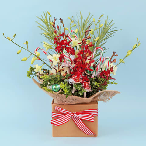 Christmas Treat  - Standard 0