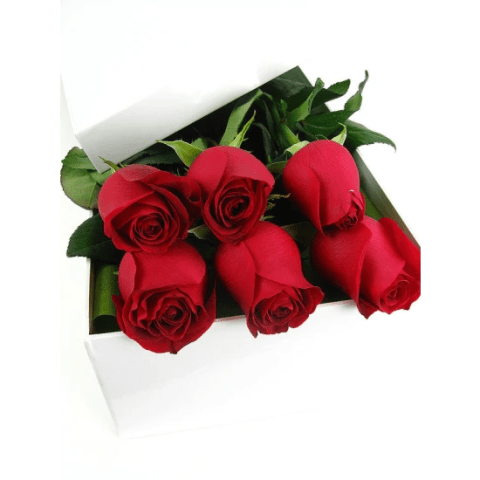 Valentine's 6 Red Rose Box - 6 Roses (Half Dozen) 1