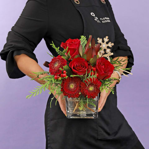 All Is Bright - Standard 1