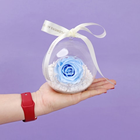 Preserved Orb - Standard 1