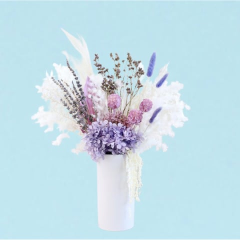 Purple Majesty  - Standard 0