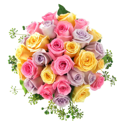 Parade Of Roses - Standard 1