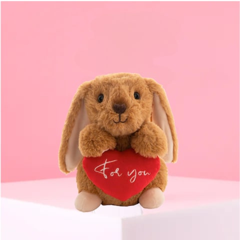 For You Bunny Rabbit  - Standard 0