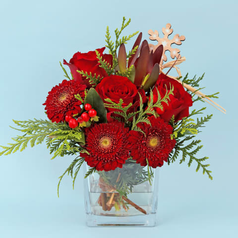 All Is Bright - Standard 0