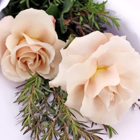 Little Graceful Gestures - Deluxe 1