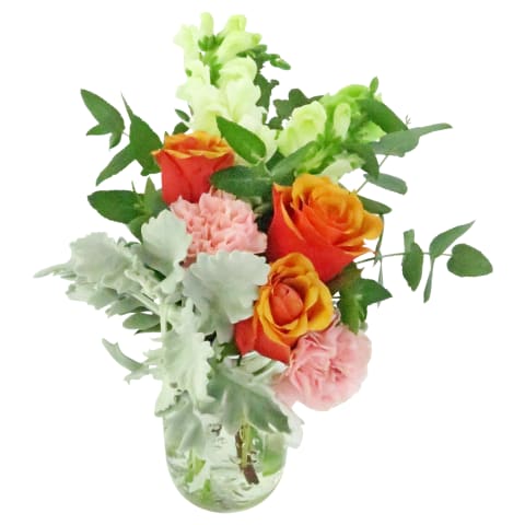 Double Take - Standard 2