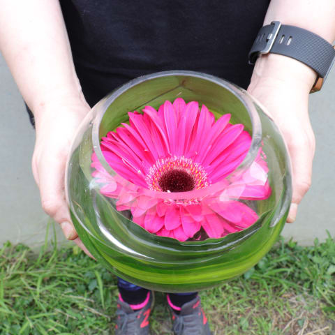 Gerbera Fishbowl Arrangement - Standard 3