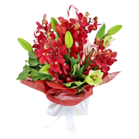 Making Xmas Magic Red & White - Standard 0