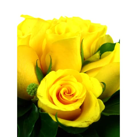 Yellow Rose Vase - Standard 4