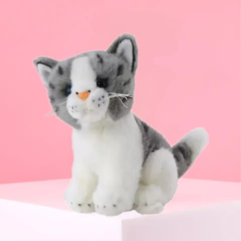 Chloe The Cat - Standard 0