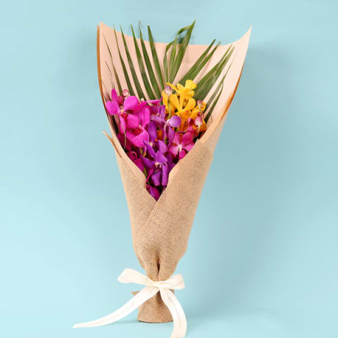 Rainbow Dreams  - Standard 0