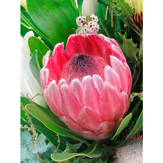 Wild Nature Hat Box Arrangement - Standard