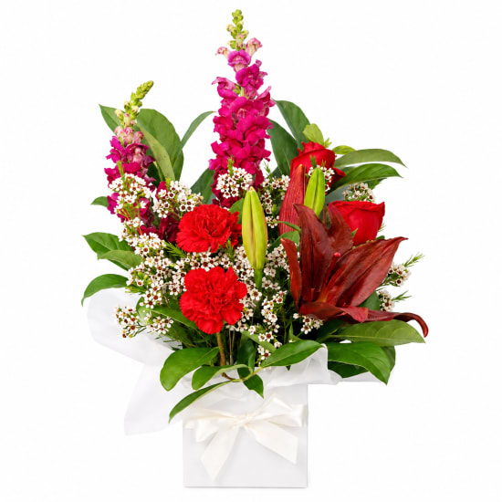 Festive Bloombox - Standard