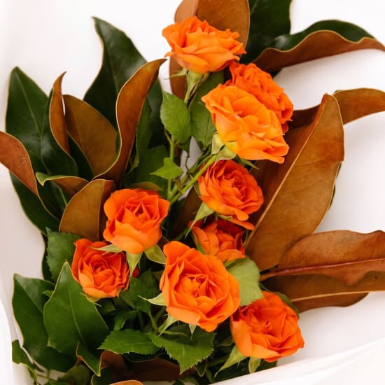 Just For You Bouquet - Standard (view 4 of 4)