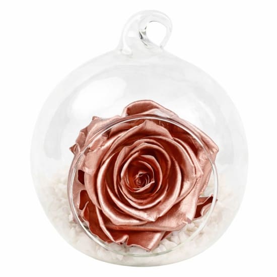 Preserved Rose Gold Orb - Standard