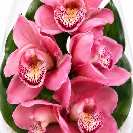 Beauty Beheld Cymbidium Orchid Vase - Standard (view 4 of 4)