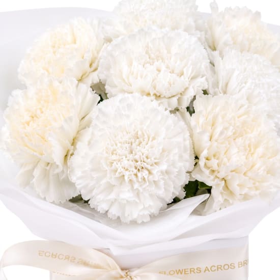 Little Carnation Flower Box - Standard (view 3 of 3)
