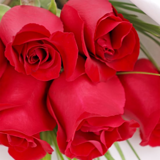 Valentine's 6 Red Rose Bouquet - 6 Roses(Half Dozen)