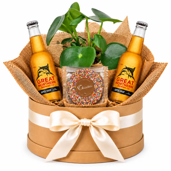 🌿🍻 Brews & Greenery Plant Hamper 🍻🌿 - Standard