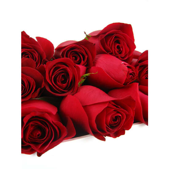 Elegant Gift Boxed Roses - Deluxe